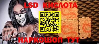дмт Новокубанск