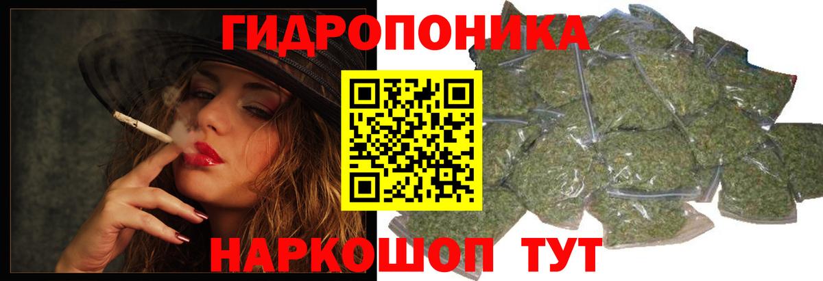 Каннабис семена  МАРИХУАНА OG Kush  Вход с VPN  Старая Купавна  Каннабис конопля 